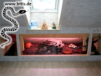 Daschrägeneinbau