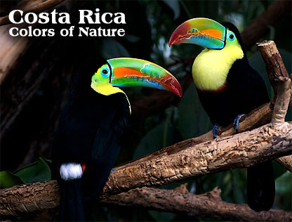 COSTA RICA - Colors of Nature