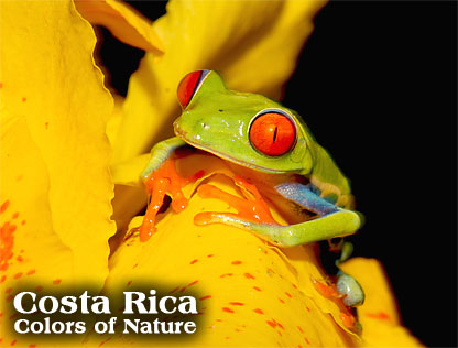 COSTA RICA - Colors of Nature